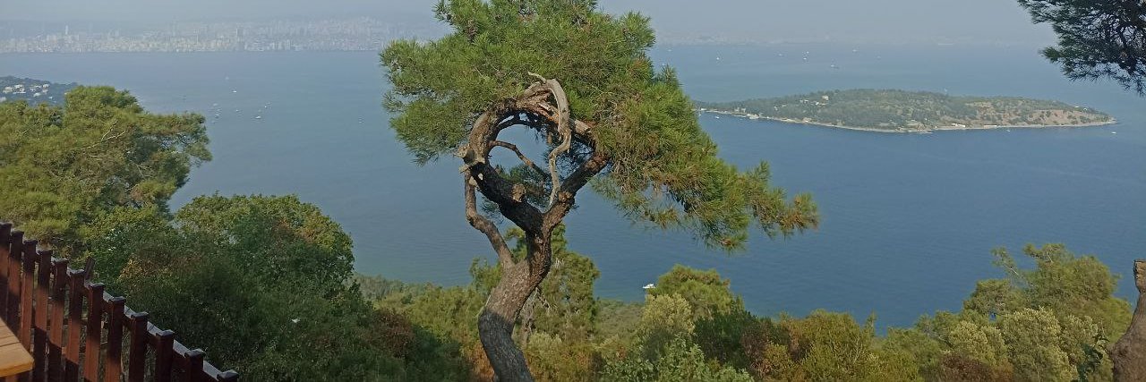 uzman crypto 🐐” | ETHGas ⛽ banner