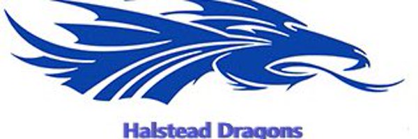 DragonHalstead5 Profile Banner