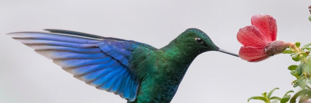 jaimeeverardo2's profile banner image