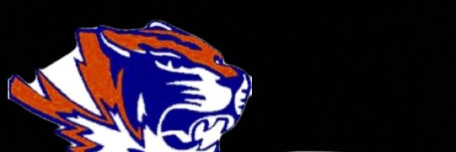 Matty Castillo banner