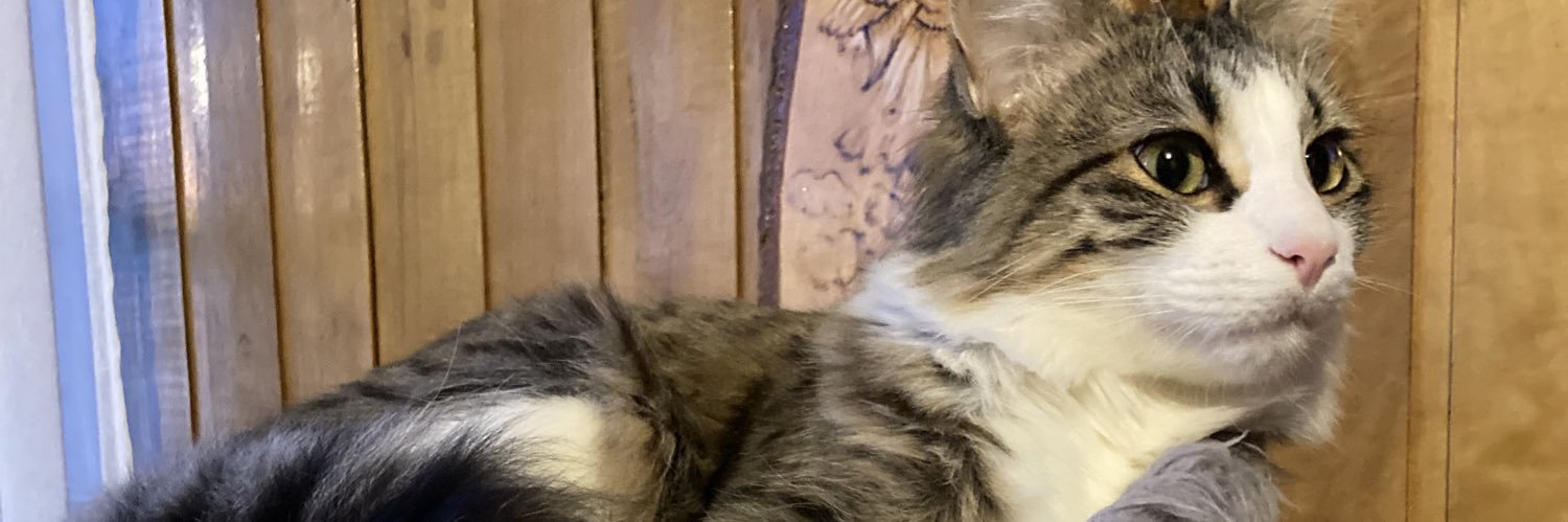 valeecastilloh's profile banner image