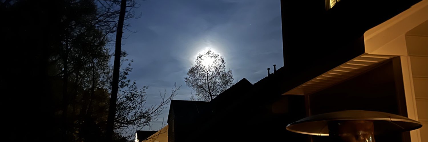 FrauPuck's profile banner image