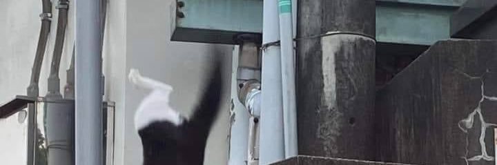 옿byeon יִ banner