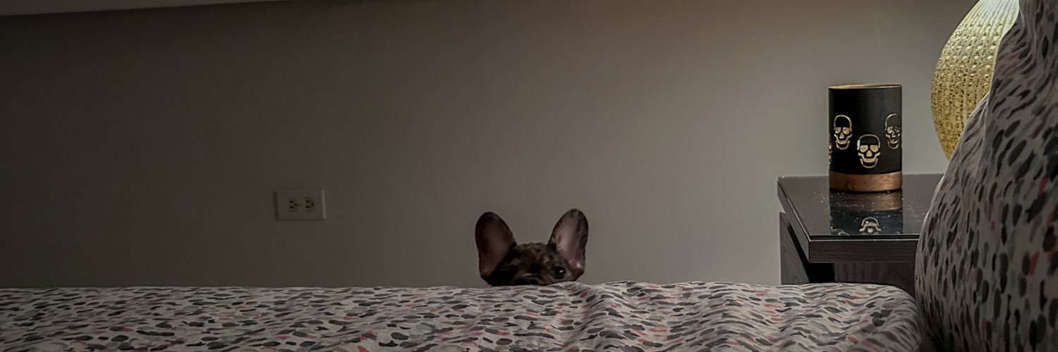 ४ Goddess of Mischief ४ banner