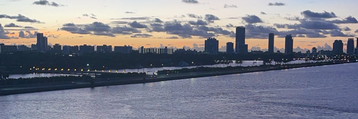 Alisha 🌸 banner