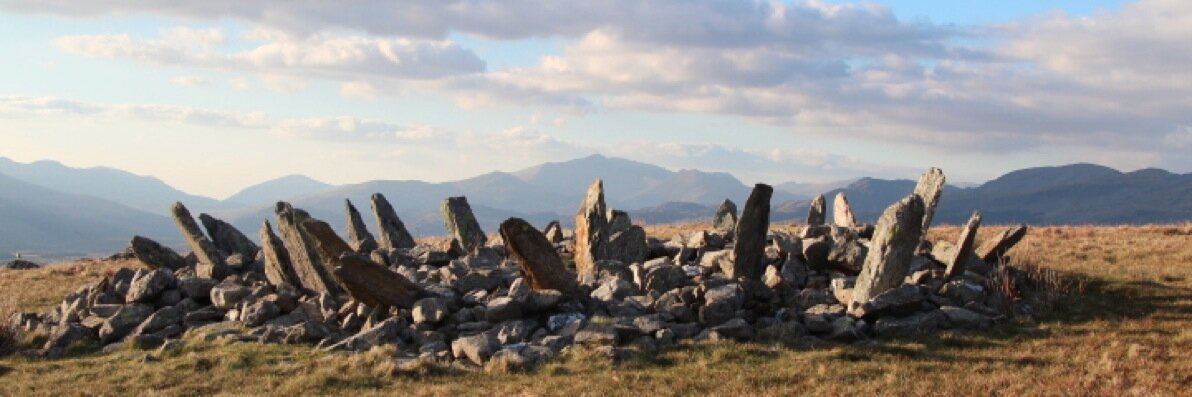 Alan E Williams banner