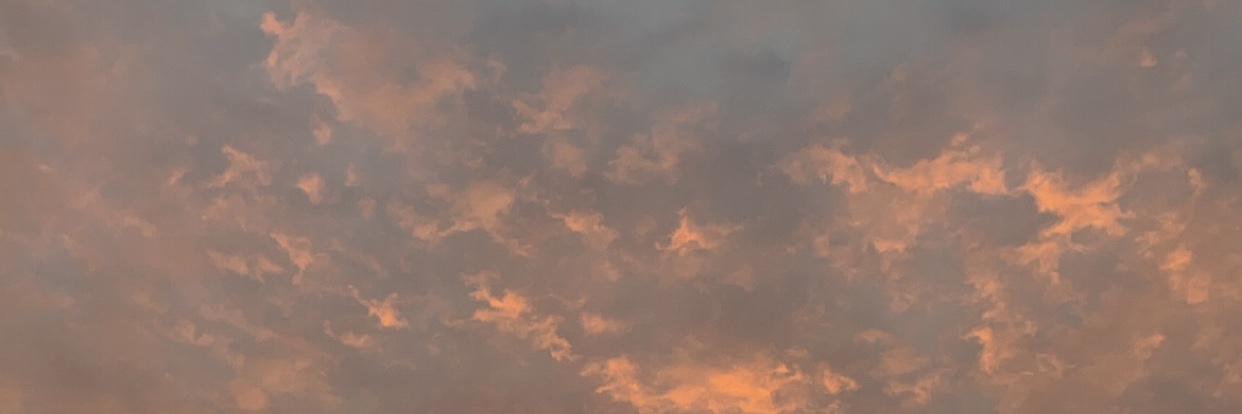 sdbreveejn's profile banner image