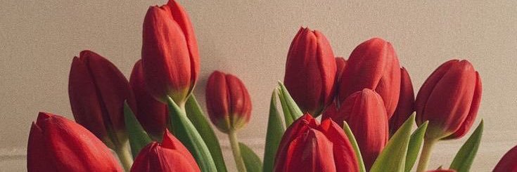 ☁️ banner