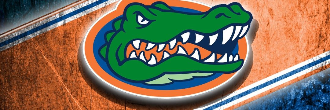 LenorGc's profile banner image
