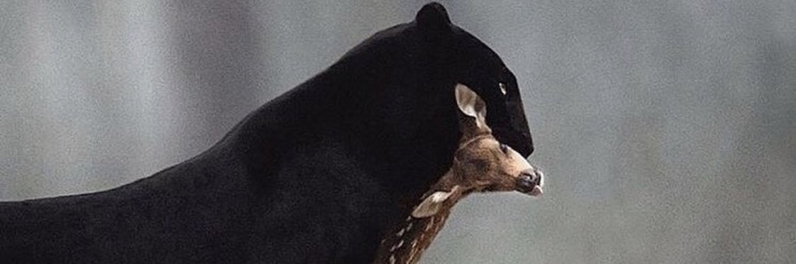 thatsnotkey7's profile banner image