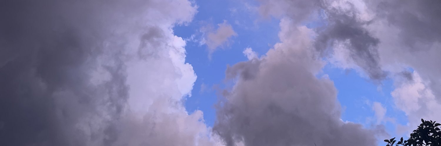 dianabitia's profile banner image