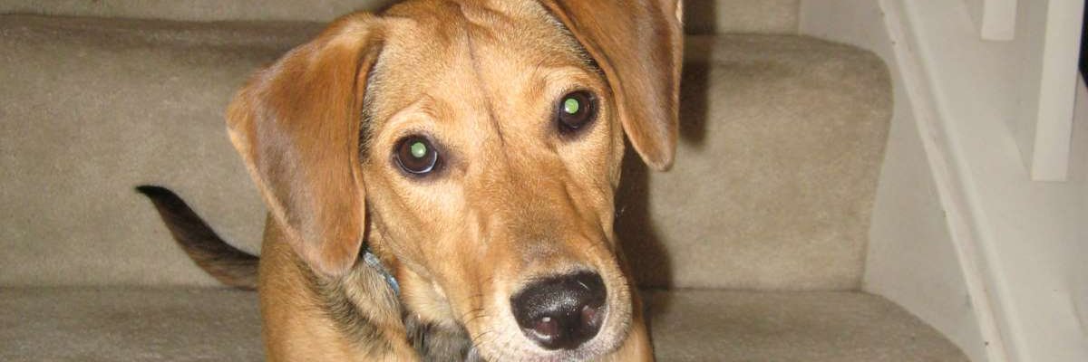 Judee🌠 🎇 🎆 banner