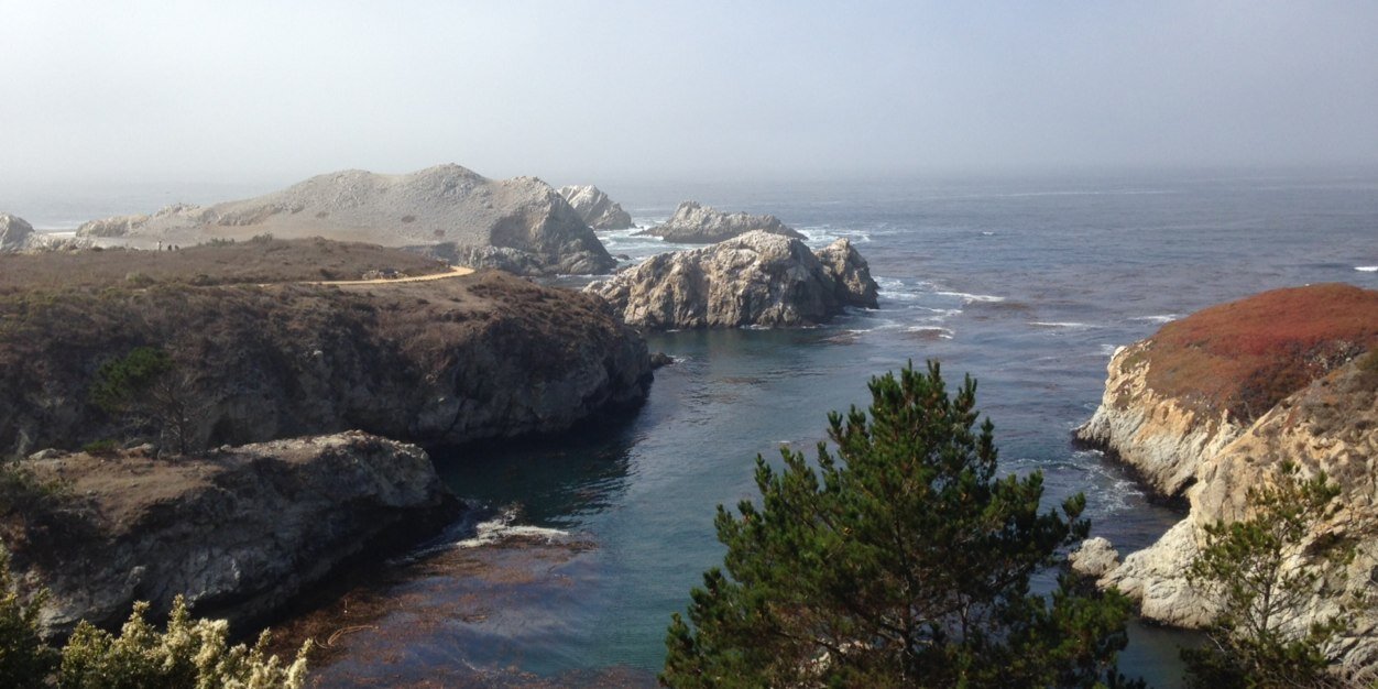 Teddy Piggins banner