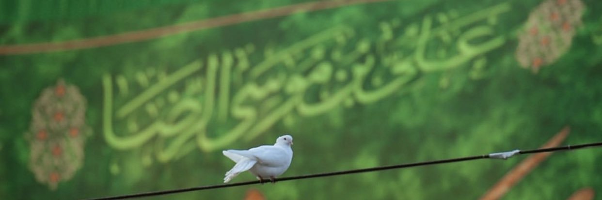 ضامن القلب 🤍 banner