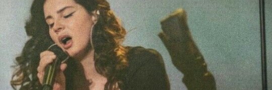 🦦 banner