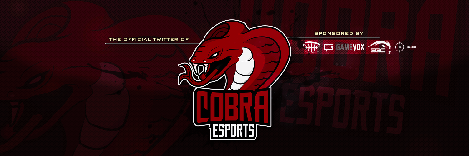 Cobra eSports™ banner