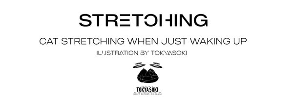 TokyaSoki Profile Banner