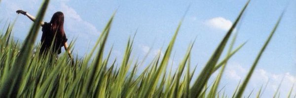 imaginaldisq Profile Banner