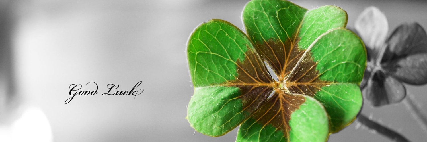 le thuy ❤️ Memecoin banner