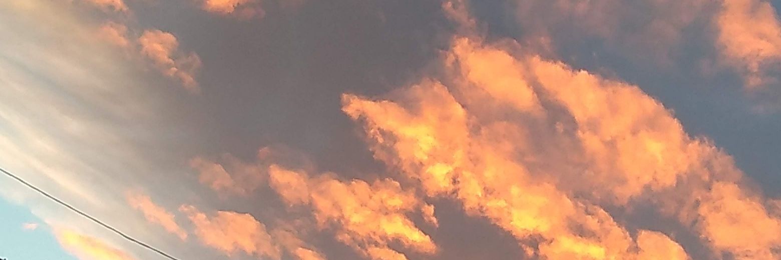 MissAutonomy__'s profile banner image