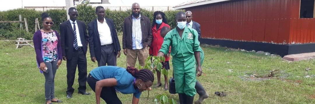 T.E.N.P ENVIRONMENT banner