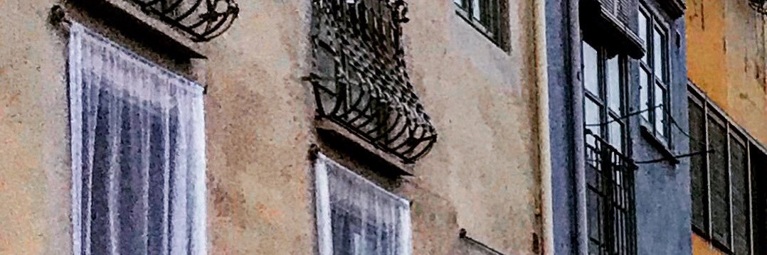 David Ferrando Juanals banner