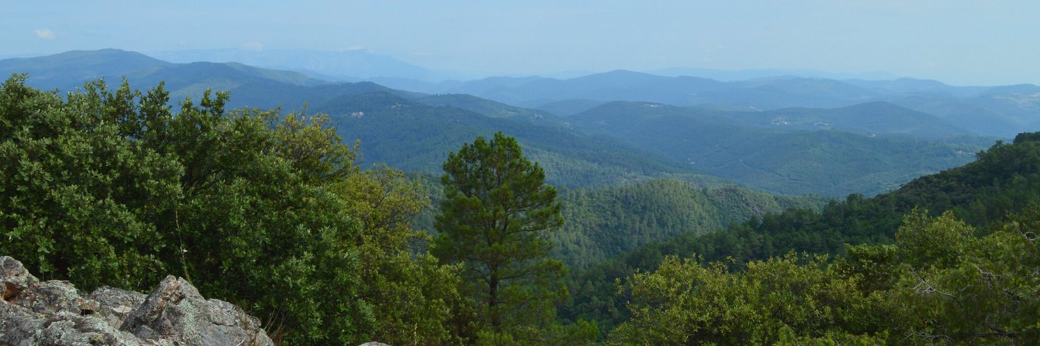 Frédéric Menou @ptitfred@pouet.chapril.org banner