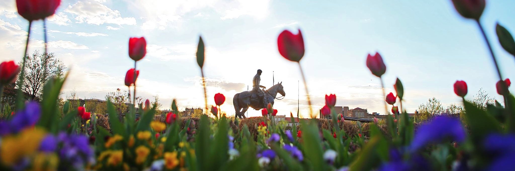 Sam Grenadier banner