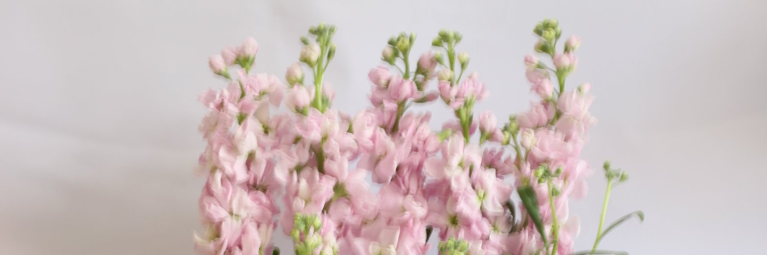 Đức Huy 😍 banner