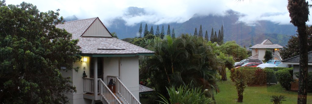 Fibromyalgia, IBS and Migraines banner