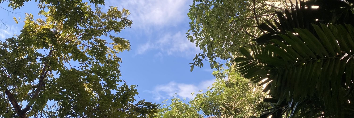 p_wrmr's profile banner image