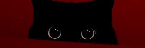 pimuk._ banner