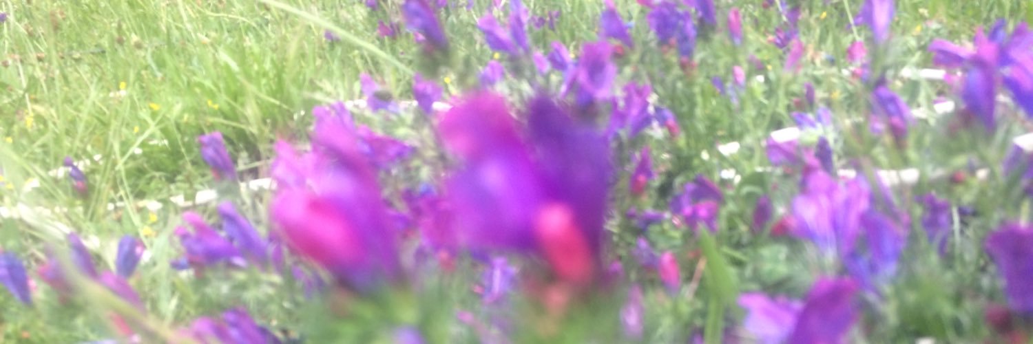 Samakhosh's profile banner image