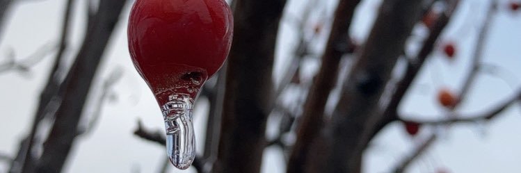 nickbrophy's profile banner image