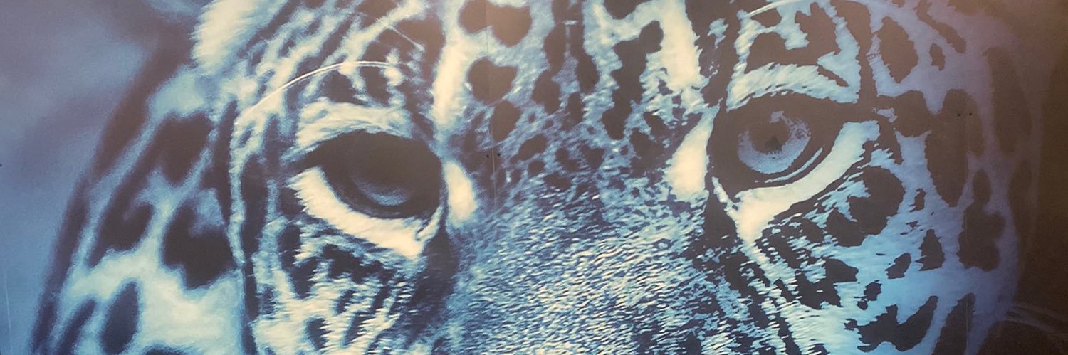 Ashton Callahan banner