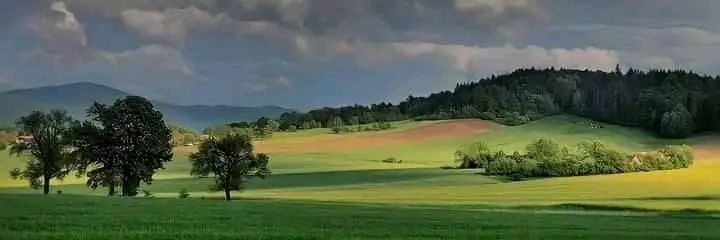 Mi Carel GV banner