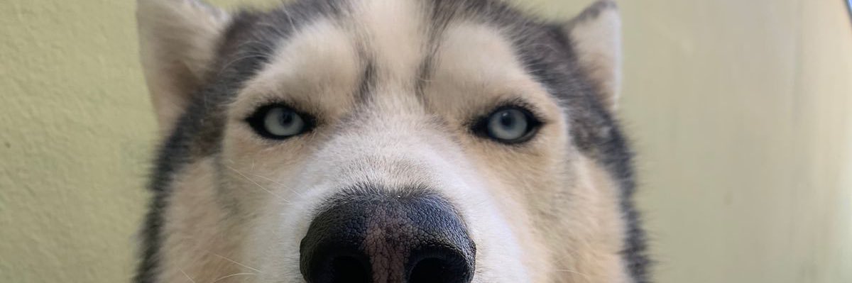 fezerbo's profile banner image