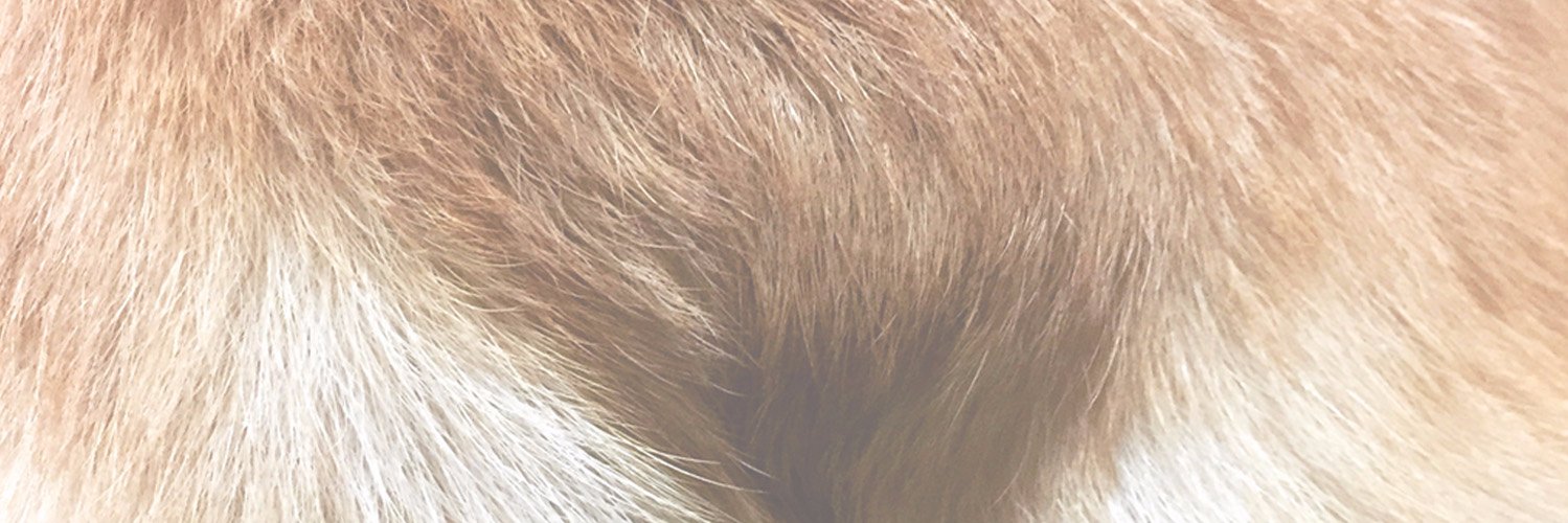 r_oi1's profile banner image