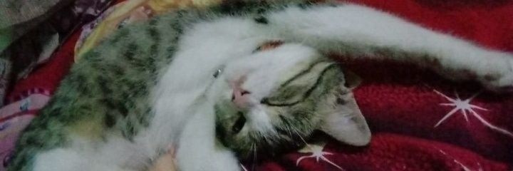 WanWinWonn's profile banner image