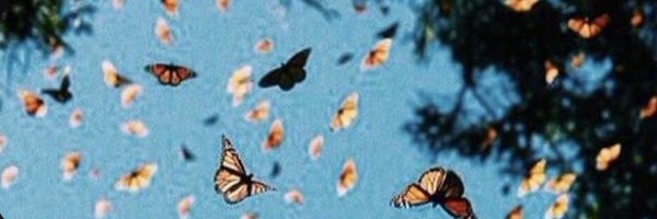 katie3boyd Profile Banner