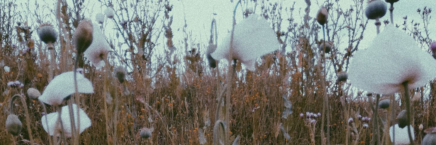 mariatrujr's profile banner image
