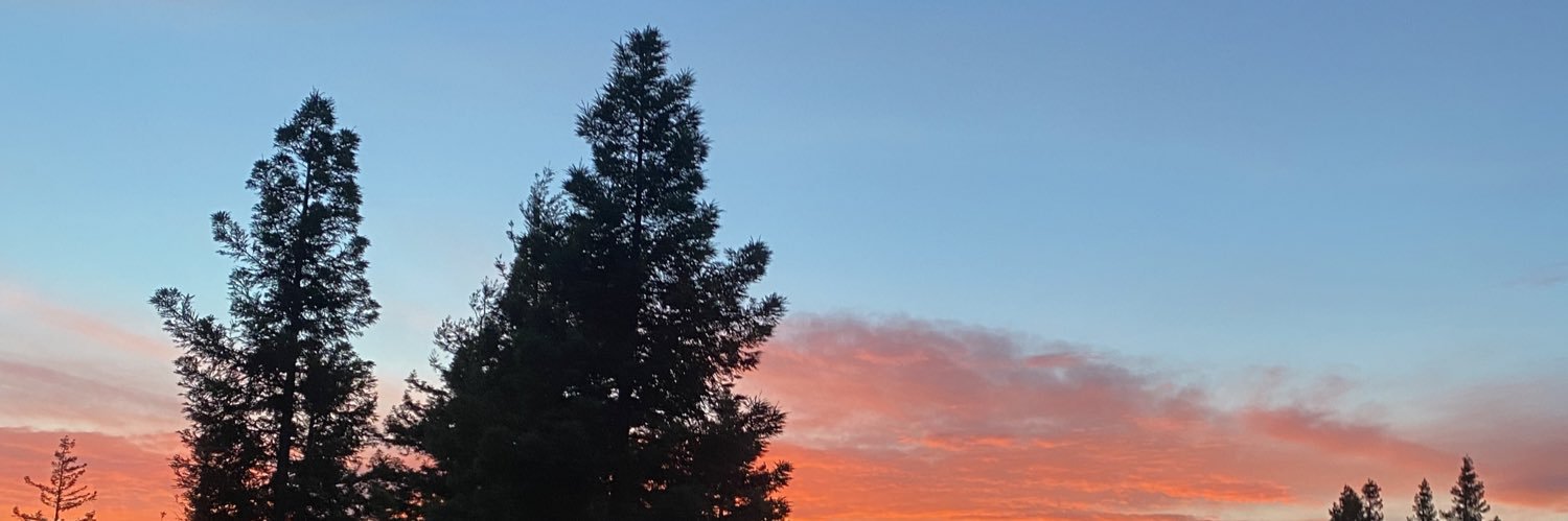 lucyyluc16's profile banner image