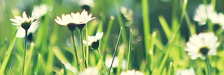 junkomama1122's profile banner image
