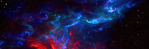 rabbit3984 Profile Banner