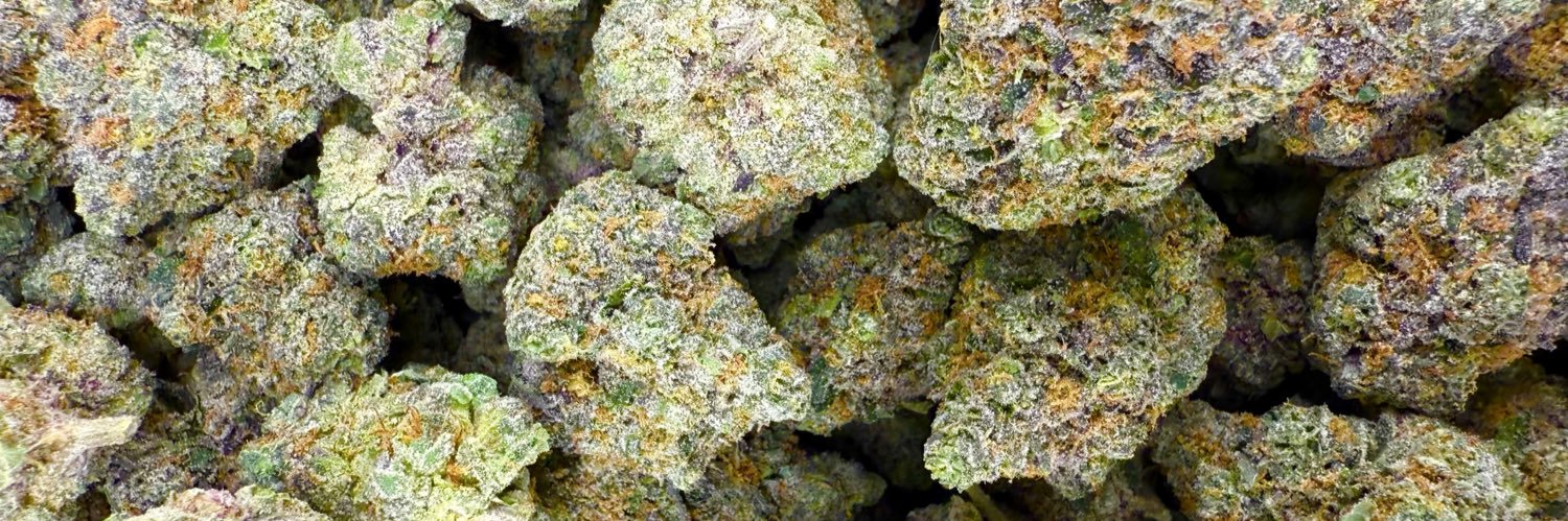 Bay Smokes 🍃 banner
