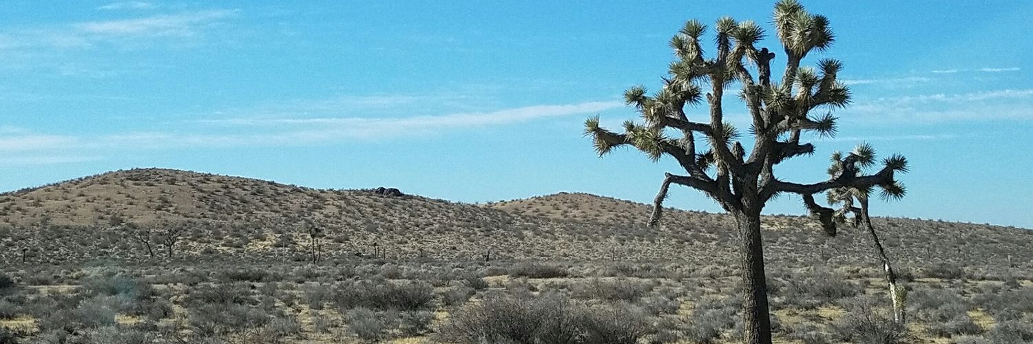 laredawg12's profile banner image