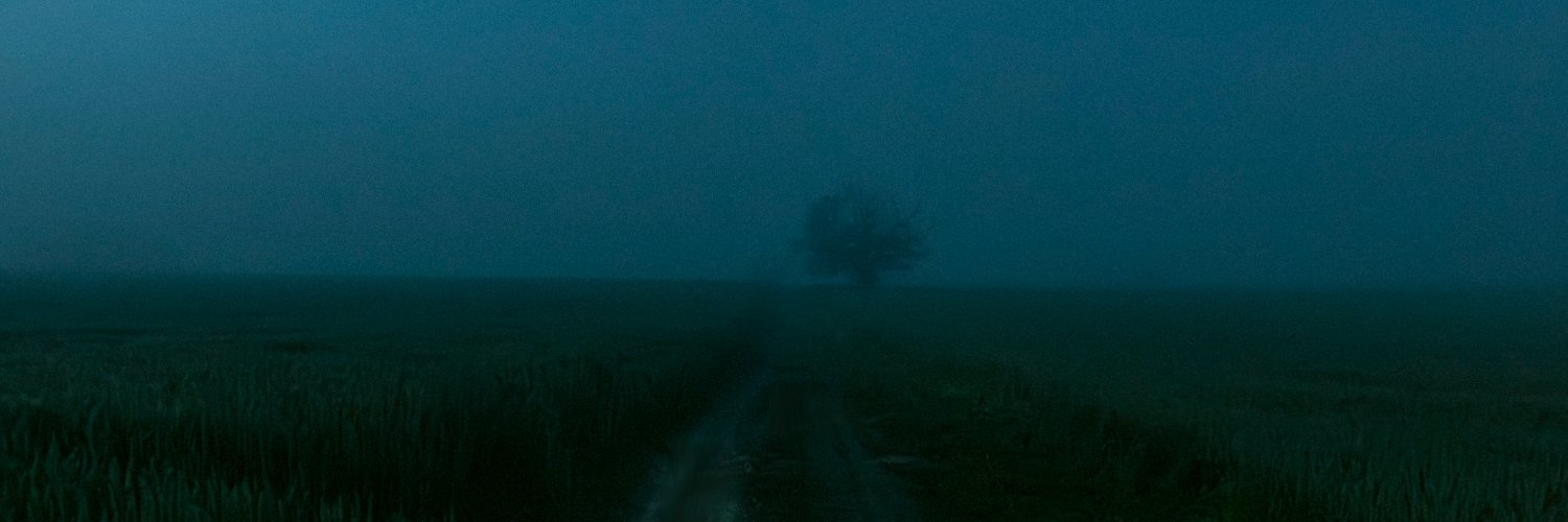 pandaista's profile banner image