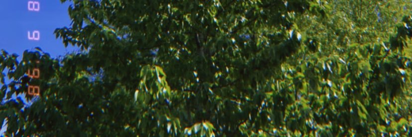 angelicbeanz's profile banner image