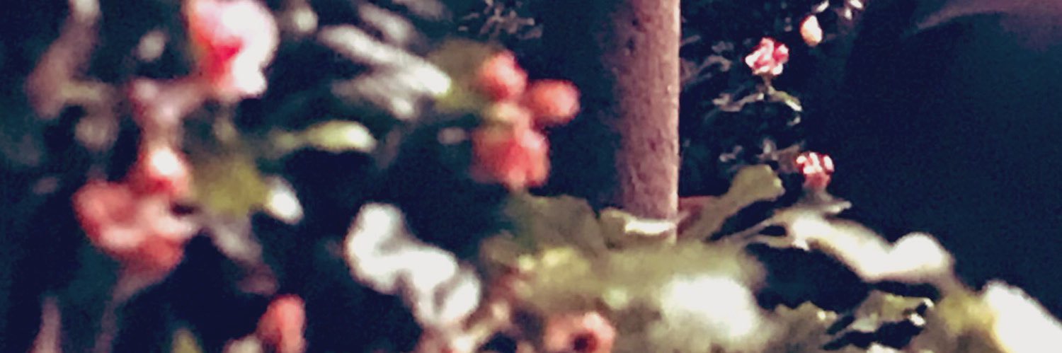 ピマヅ's banner