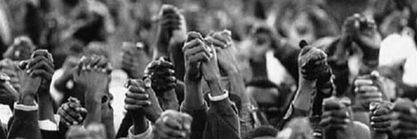 barcodedao Profile Banner